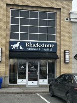 Blackstone Animal Hospital