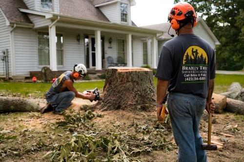 Bradley Tree Service & Excavating