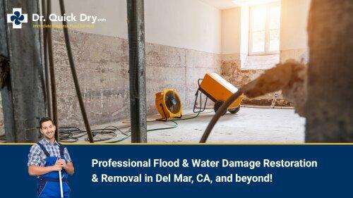 Quick Dry Flood Services