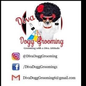 Diva Dogg Grooming