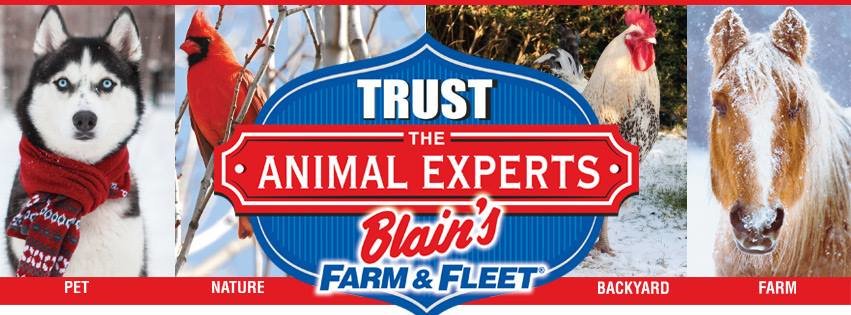 Blain's Farm & Fleet Tires and Auto Service Center-Chippewa Falls, Wi