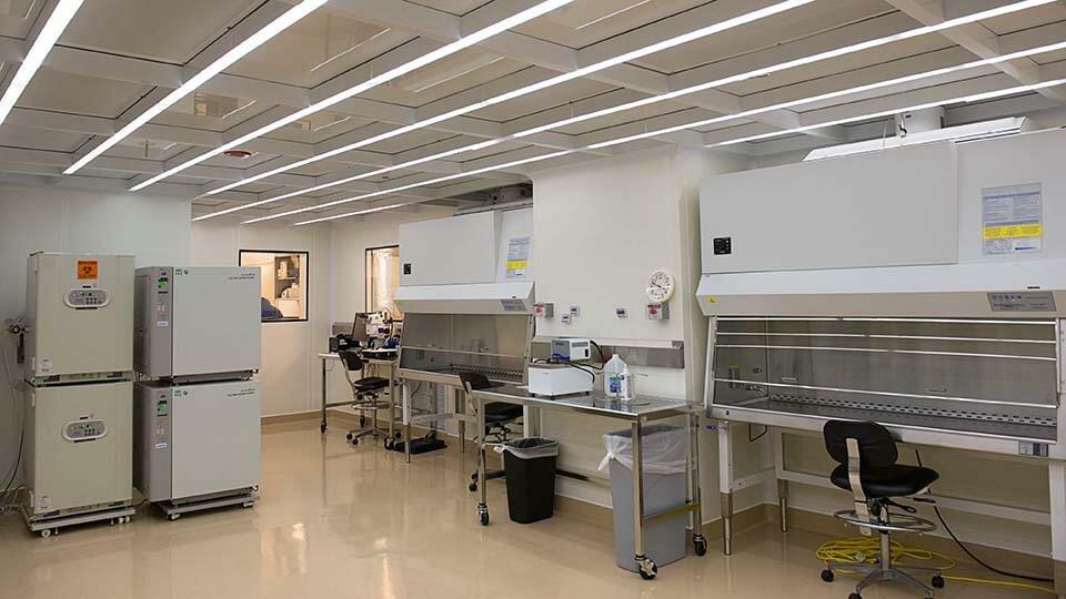 Mathews Center for Cellular Therapy (MCCT)