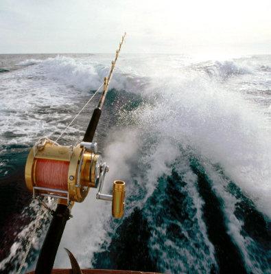 PC Florida Fishing Charters