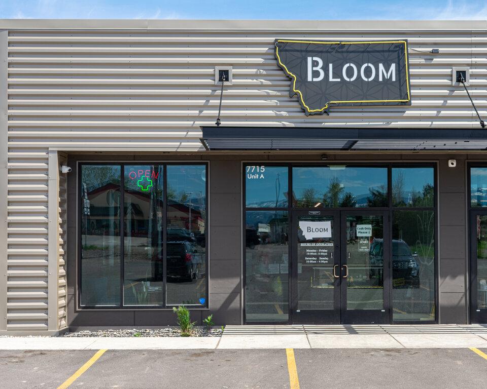 Bloom