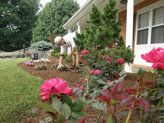 Varsity Landscaping & Grounds