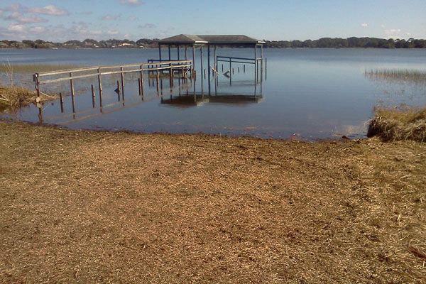 Professional Waterfront Cleanup