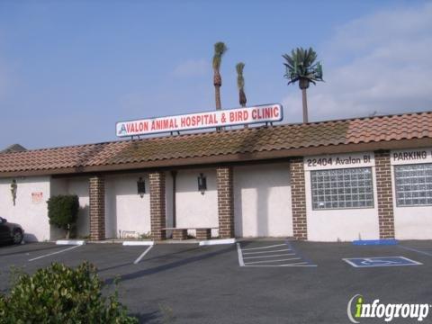 Avalon Animal Hospital & Bird