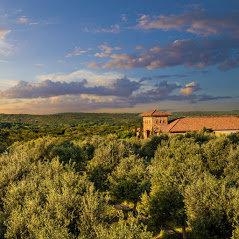 The Bistro at Texas Hill Country Olive Co.