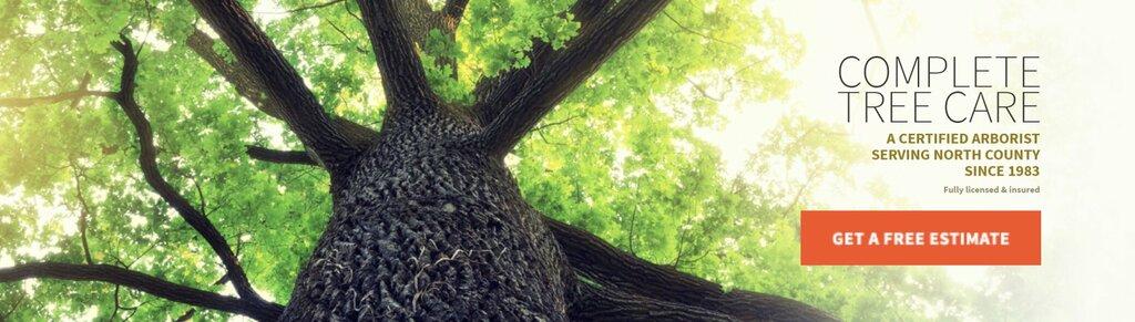 Tree Barber