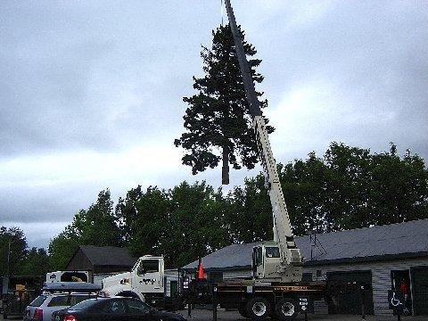 Barrett's Tree Service Inc.