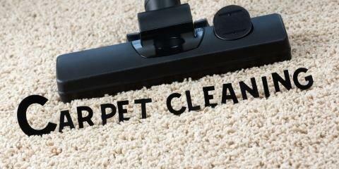 Best Carpet Care