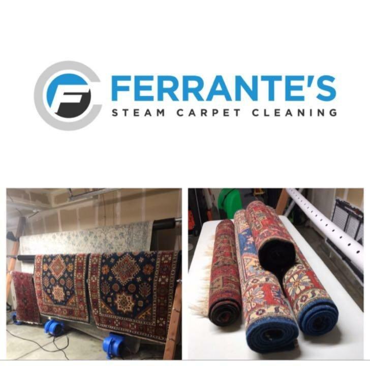 Ferrante's Steam Carpet Cleaning