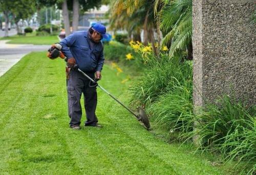 Pacific Green Landscape Maintenance