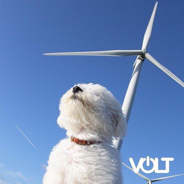 Volt Electricity Provider