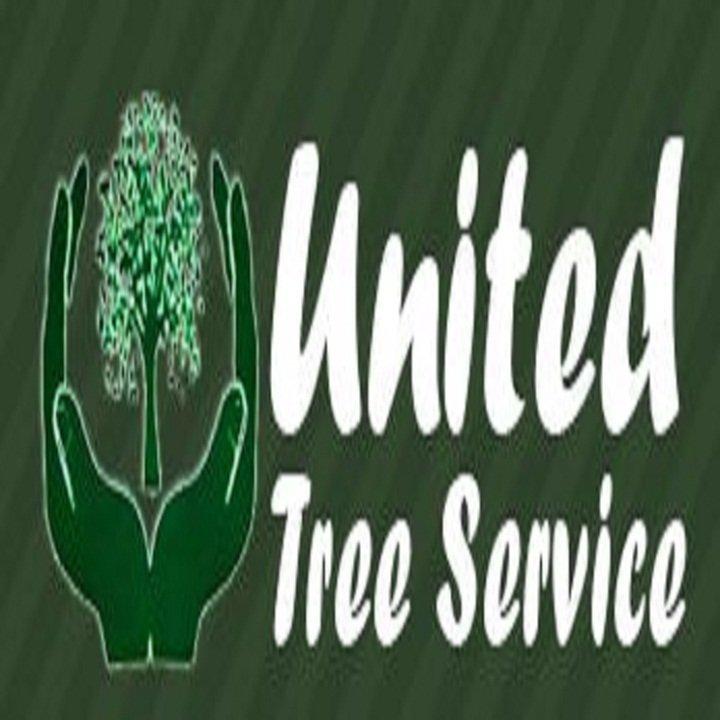 United Tree Service