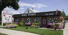 Utica Florist