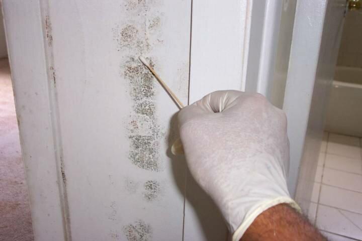 Mold Inspection & Testing Atlanta GA