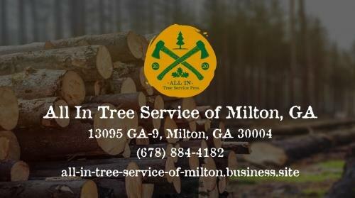 All in Tree Service of Milton