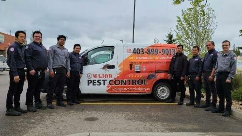 Major Pest Control Calgary