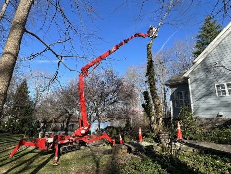 Frady Tree Care