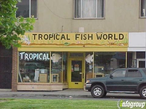 Tropical Fish World