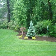 Fred's Landscaping & Irrigation