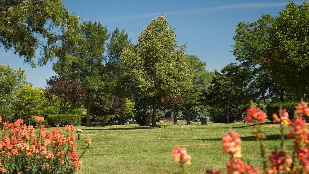 Forest Lawn Funeral Home & Cemetery