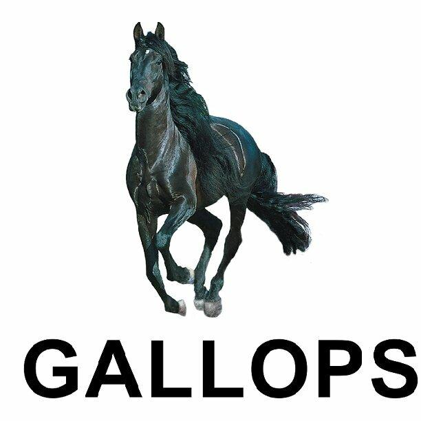 Gallops Motel