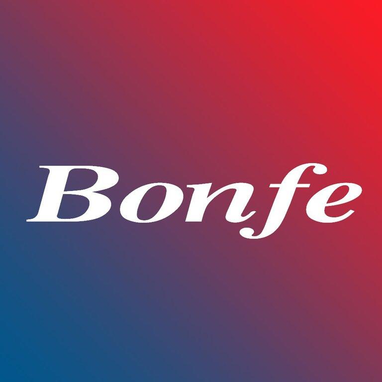 Bonfe Plumbing Heating & Air Service Inc