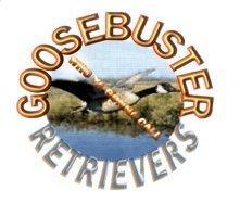 Goosebuster Retrievers