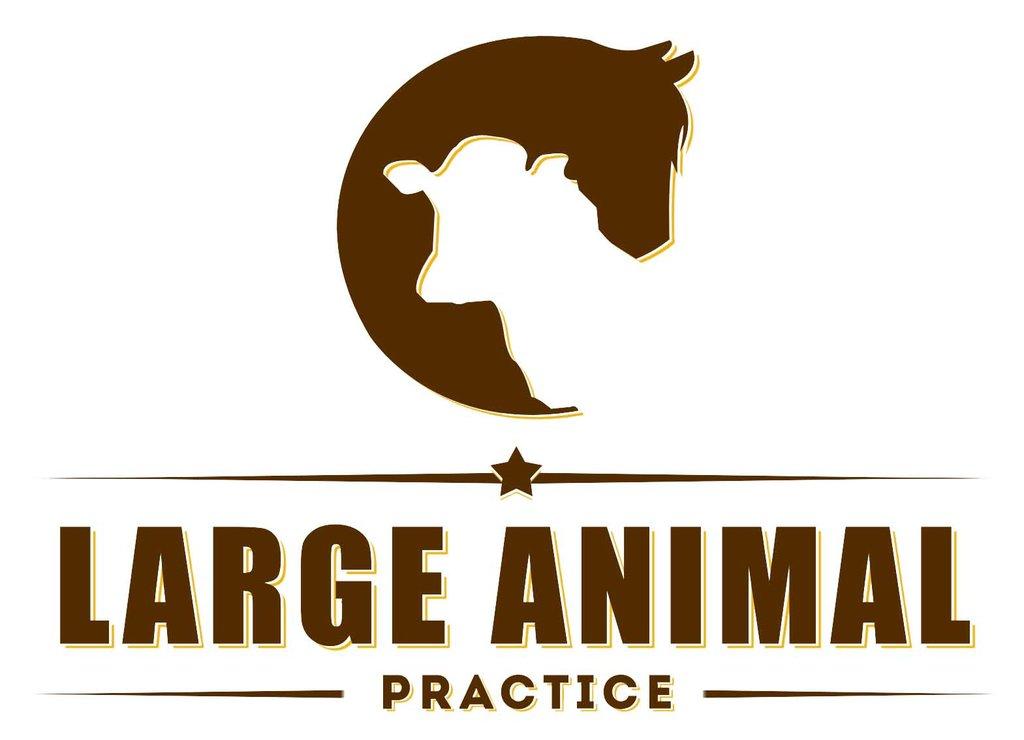 Large Animal Practice