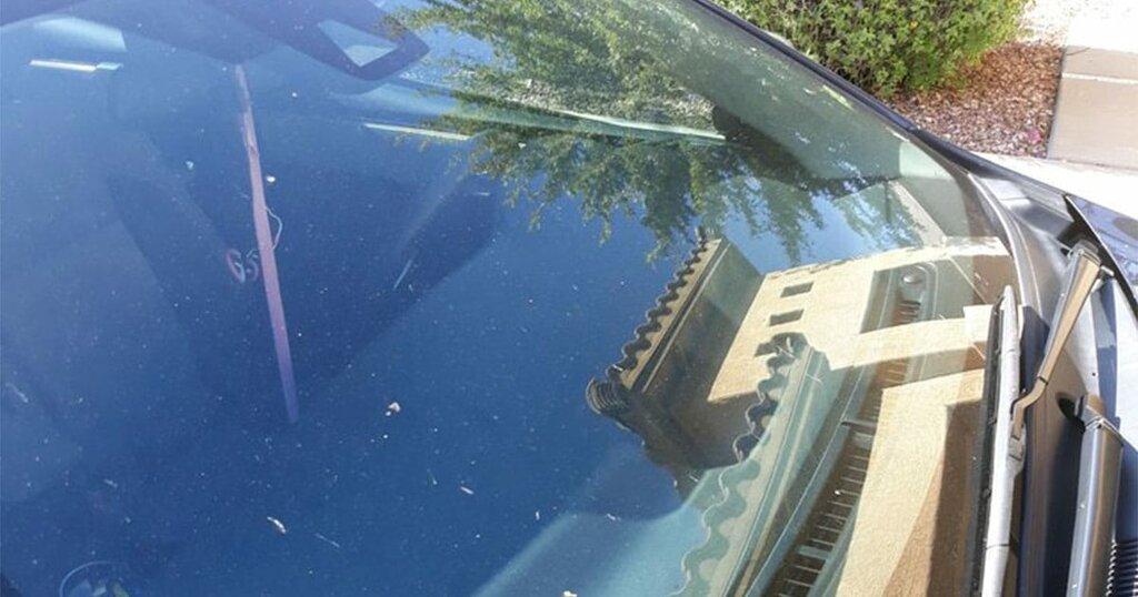 Expert Auto Glass