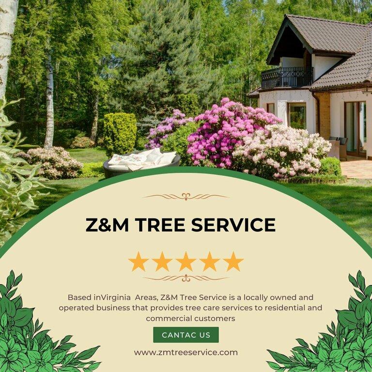 Z&M Tree Service