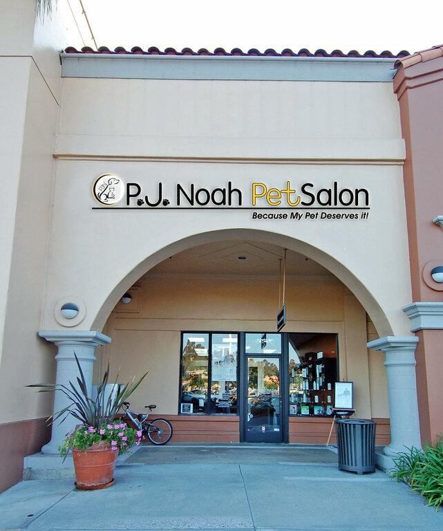 PJ Noah Petsalon