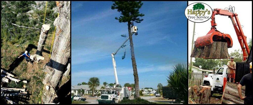 Happy's Tree Service