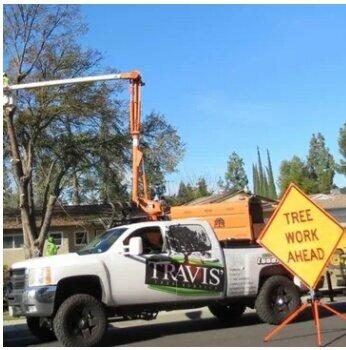 Travis Tree Service