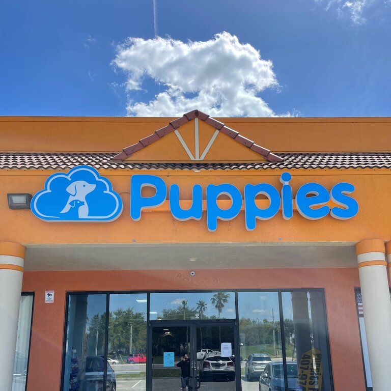 Blue Sky Puppies Orlando