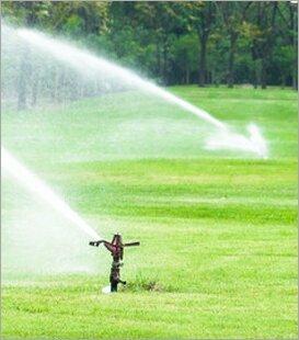 Jersey Shore Lawn Sprinkler