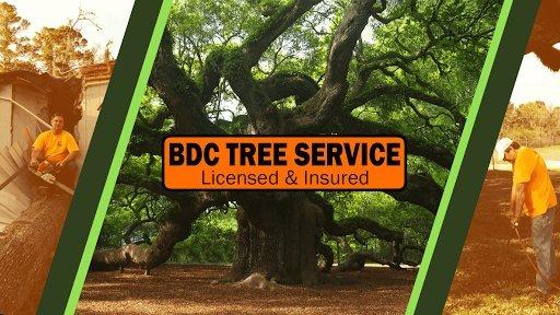 BDC Tree Service