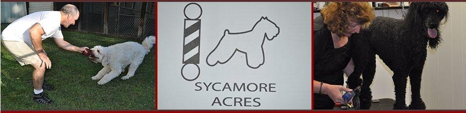 Sycamore Acres