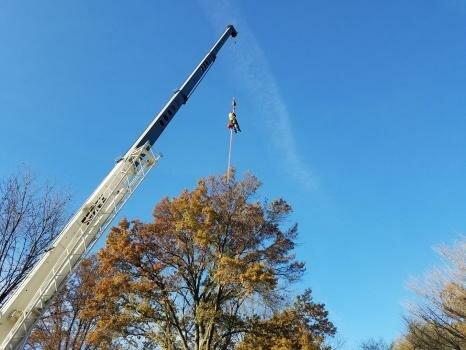 Coughlin Tree Service