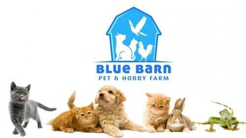 Blue Barn Pet & Hobby Farm