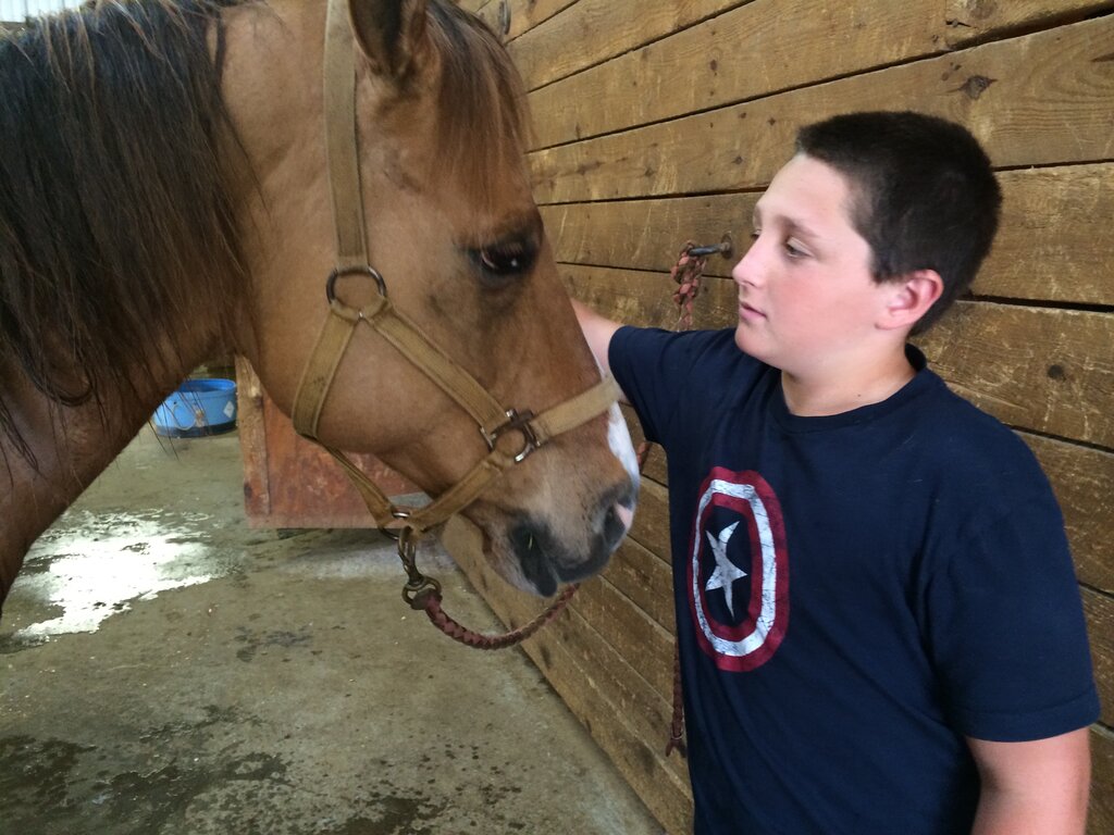 Ogburn Stables