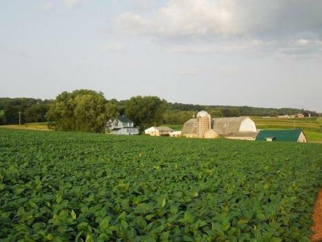 Mahoning Creek Farm