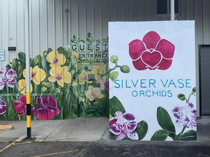 Silver Vase Orchids