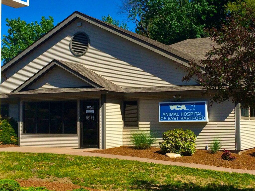 VCA Animal Hospital of East Hartford