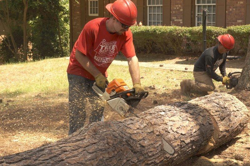 Todd's Marietta Tree Services