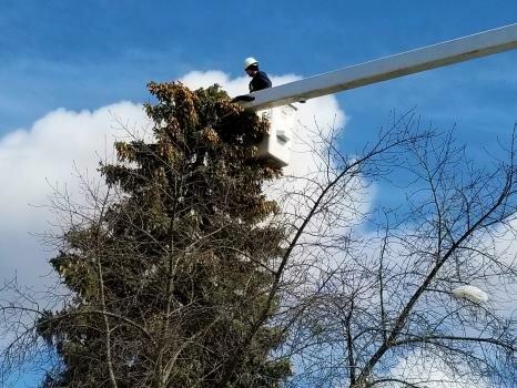 Real Tree Masters Inc