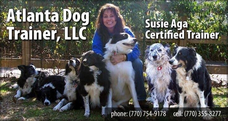 Atlanta Dog Trainer