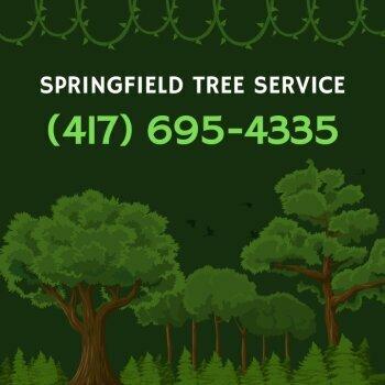 Springfield Tree Service